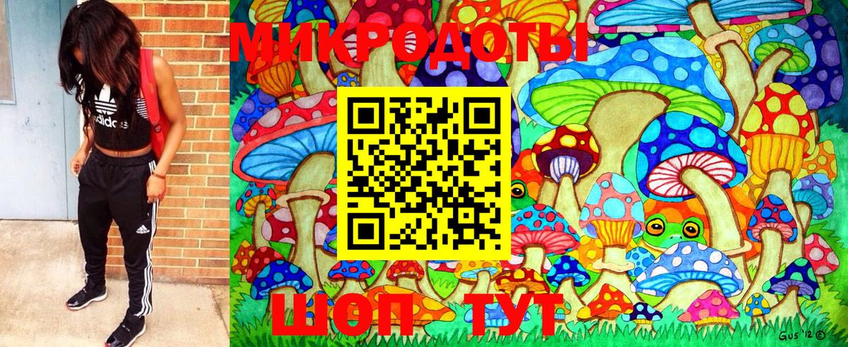 Псилоцибиновые грибы Psilocybe  Галлюциногенные грибы ЛСД  Вход с VPN  Ярославль 