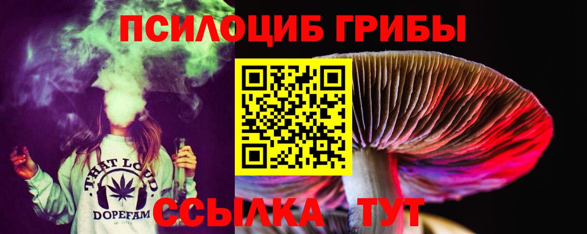 Галлюциногенные грибы прущие грибы Ярославль